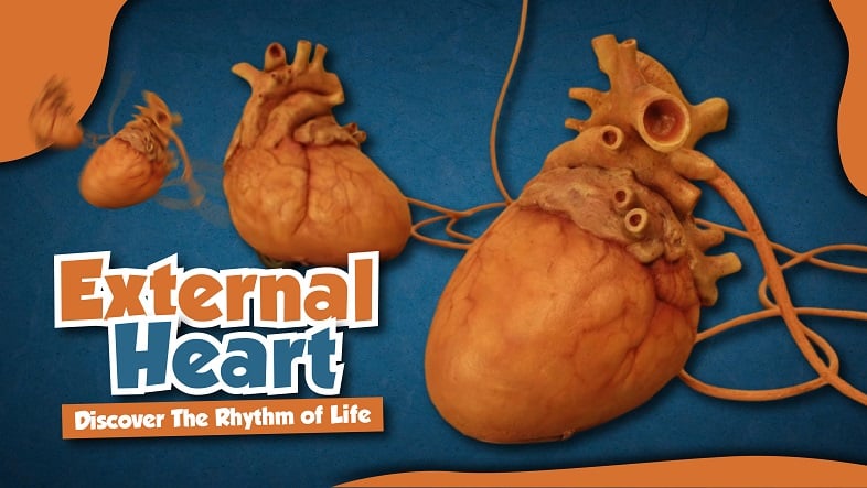 external heart