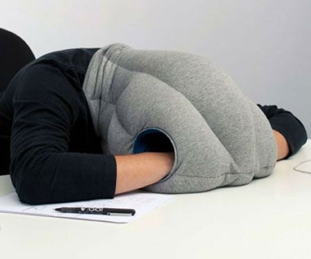 The Ostrich Napping Pillow