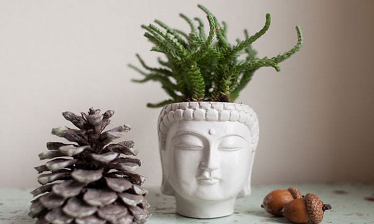 55 Unique Planters and Cool Pots For All House Plants